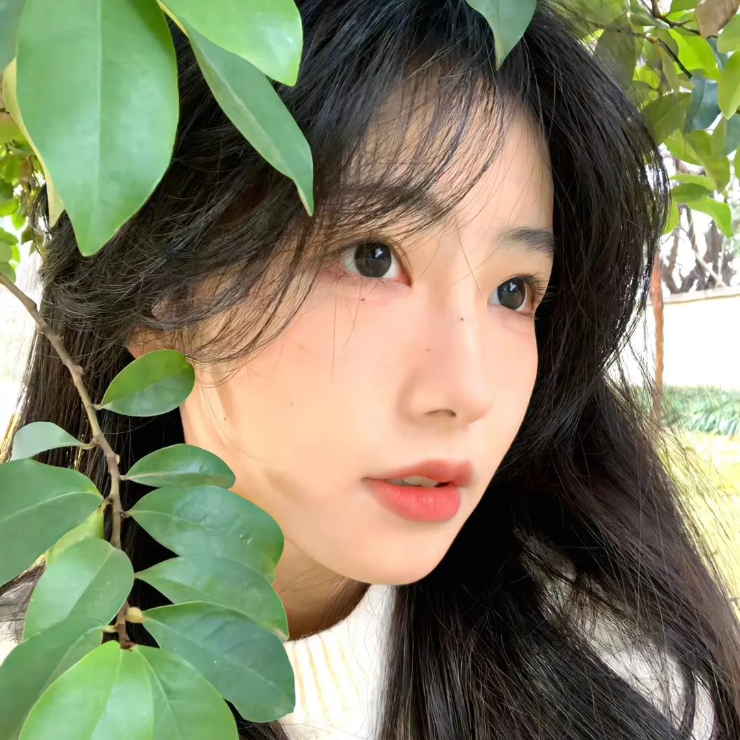 我的凡尔赛日记